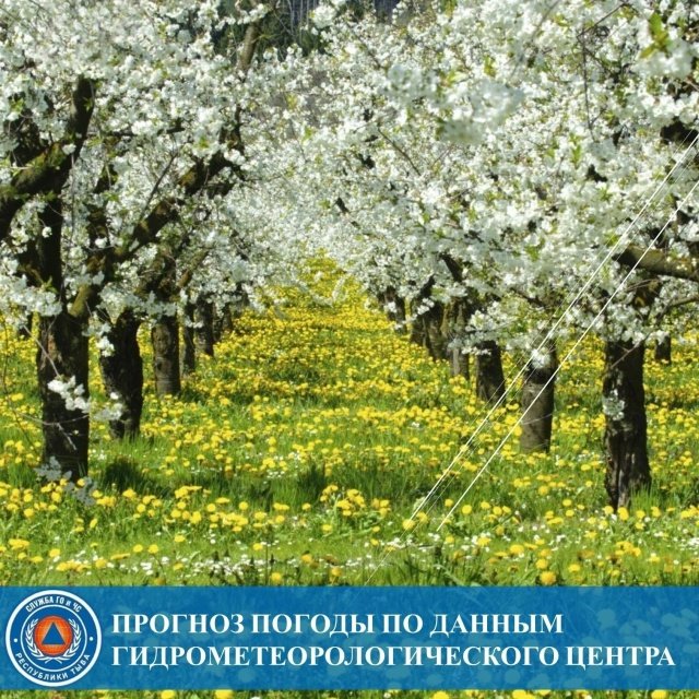 В Туве прогнозируются ранние заморозки до -3°С