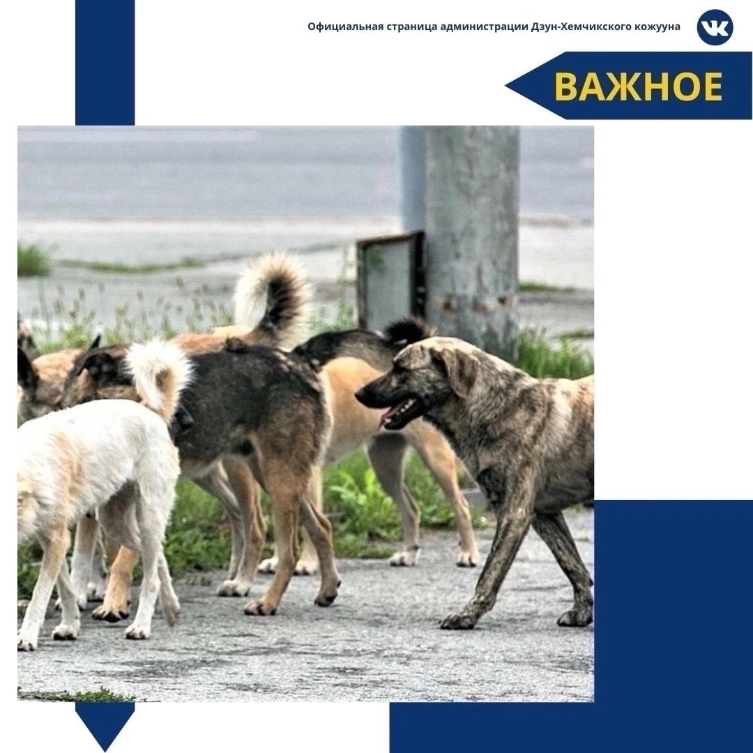 Очень важная информация   Очень важная информация