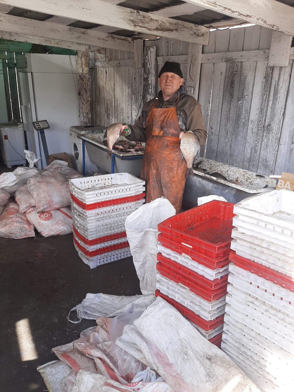 День работника сельского хозяйства и перерабатывающей промышленности День работника сельского хозяйства и перерабатывающей промышленности