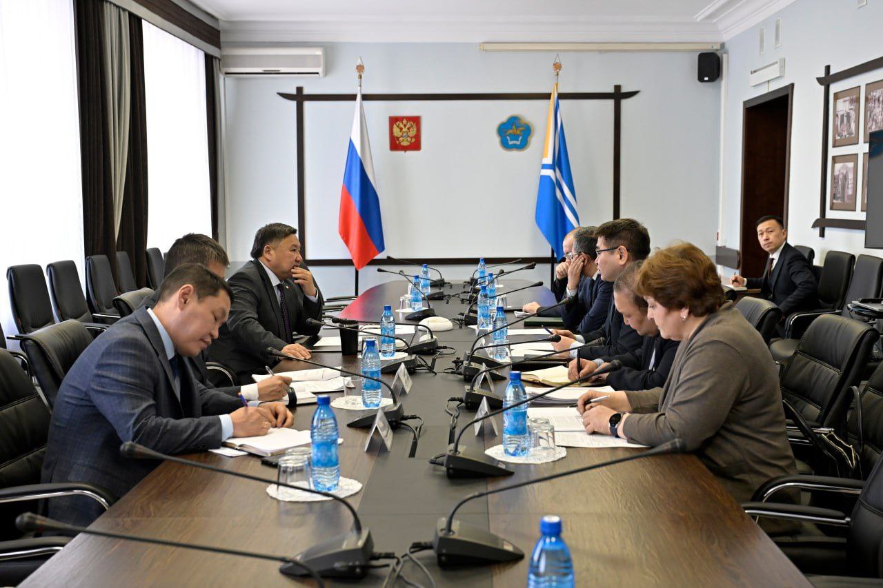 Владислав Ховалыг провёл совещание по энергетическим проектам в Туве