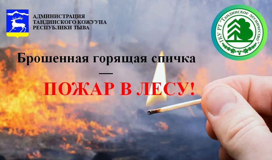 Останови огонь — сохрани лес