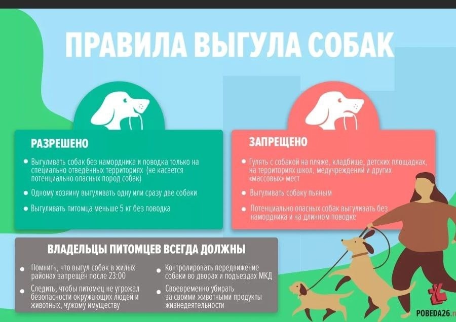 Статья 5.4. Нарушение правил содержания домашних животных. Статья 5.4. Нарушение правил содержания домашних животных.