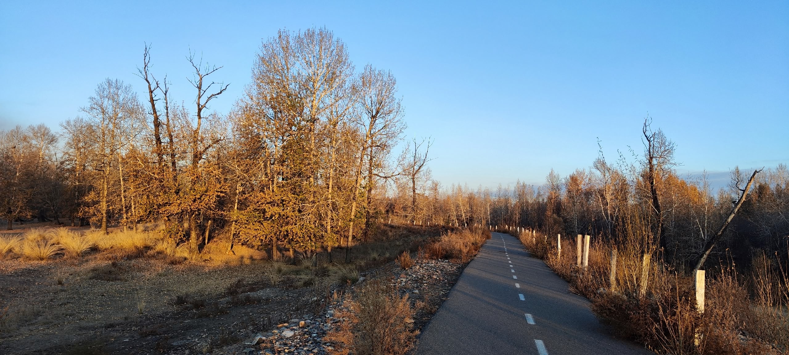 Осенью утро напоминает нам, что радость — это не всегда вспышки ярких эмоций. Часто она бывает тихой, глубокой, почти незаметной. Это состояние, которое можно ощутить через восприятие мира вокруг. Наблюдение за изменениями природы, соприкосновение с прохл Осенью утро напоминает нам, что радость — это не всегда вспышки ярких эмоций. Часто она бывает тихой, глубокой, почти незаметной. Это состояние, которое можно ощутить через восприятие мира вокруг. Наблюдение за изменениями природы, соприкосновение с прохл