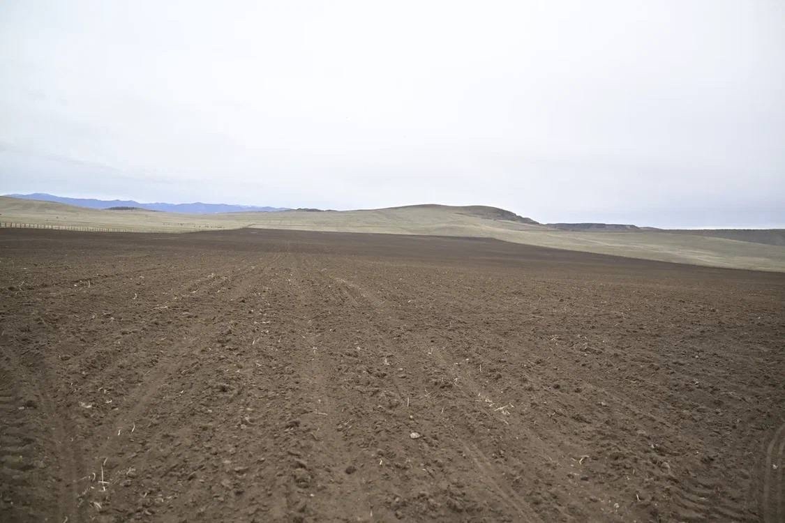 По дороге в Кызыл из Сут-Хольского района заметил, что в полях возле Чадана уже кипит работа