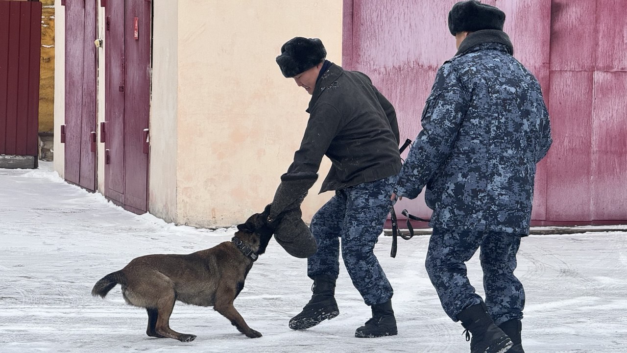 Патриотизм и профориентация: в Кызыле кинологи УФСИН выступили перед лицеистами