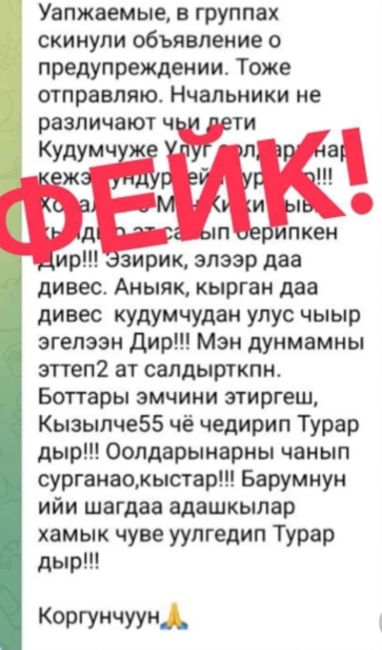 Сегодня свой праздник отмечают те люди, которые умеют слышать чужую боль, замечать чужую нужду и откликаться без лишних слов. День тех, чье сердце всегда открыто для добра – 5 декабря во всем мире, в том числе и в нашей стране, отмечают День волонтера или