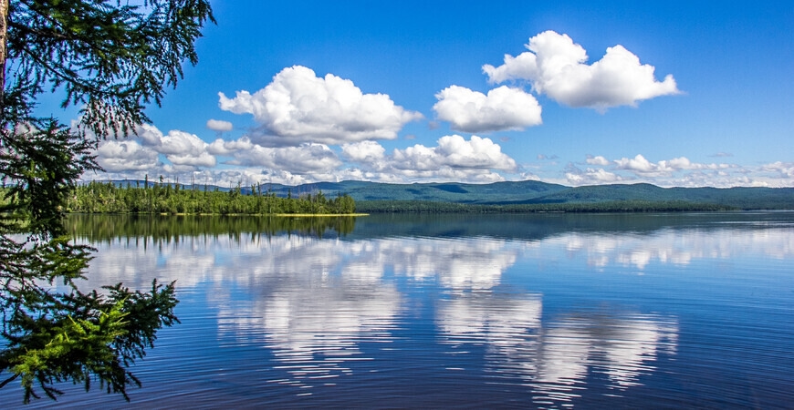 14 октября День работников заповедного дела в России 14 октября День работников заповедного дела в России