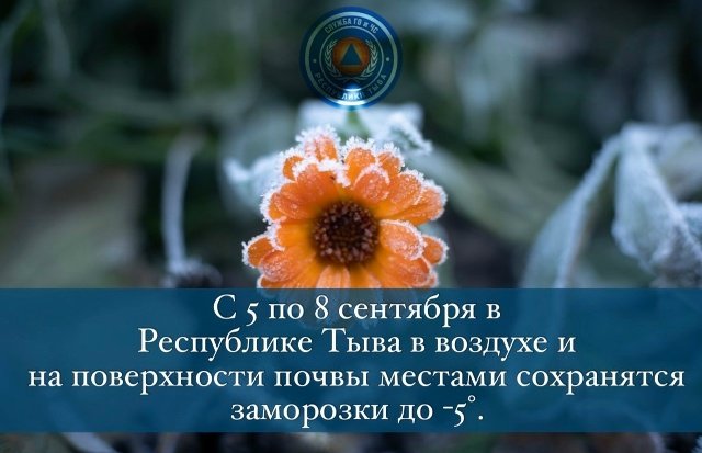 В Туве ожидаются заморозки до -5°С и высокая пожарная опасность