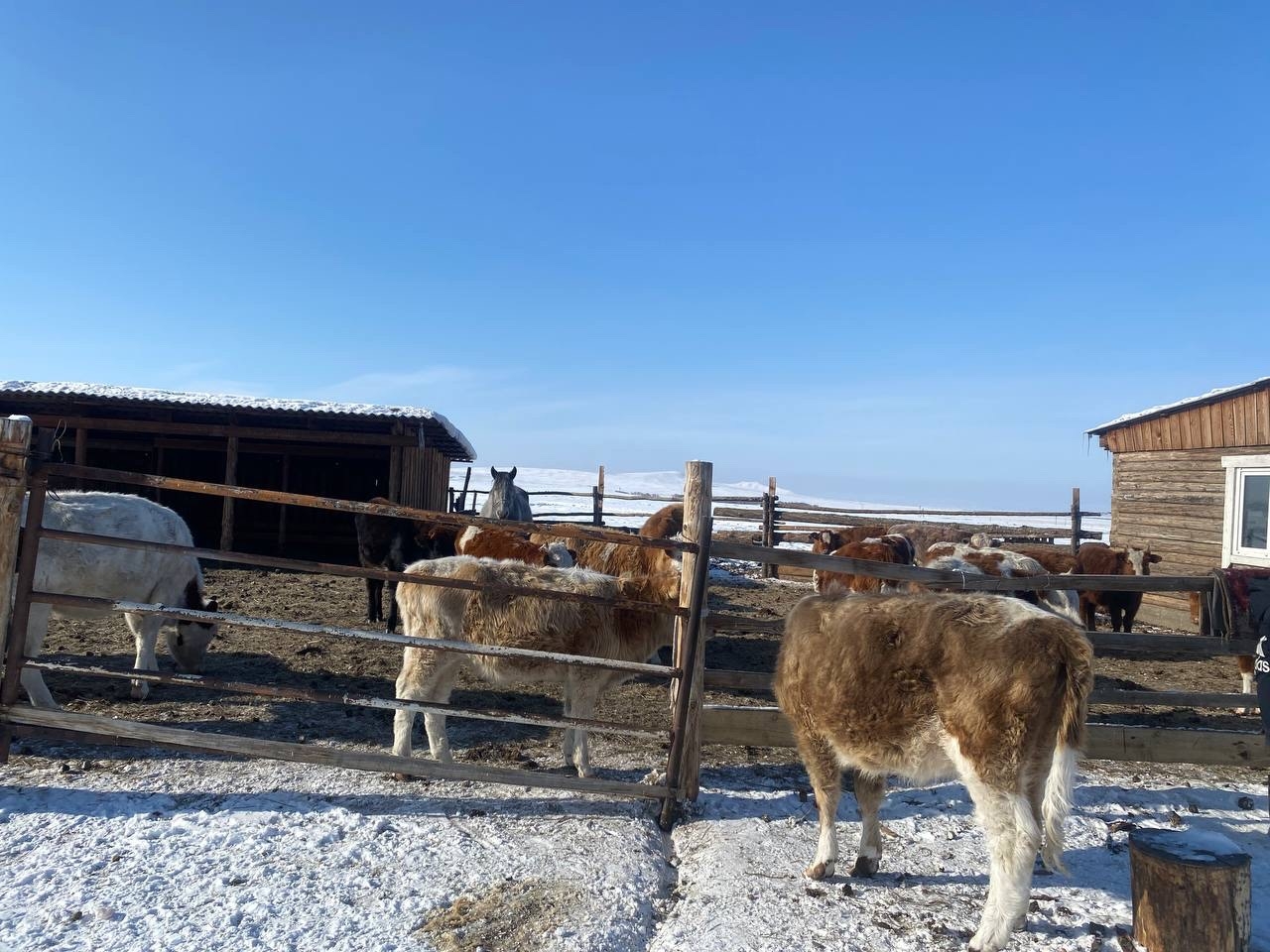 В Тандинском районе проверили готовность чабанских стоянок к завершению зимовки