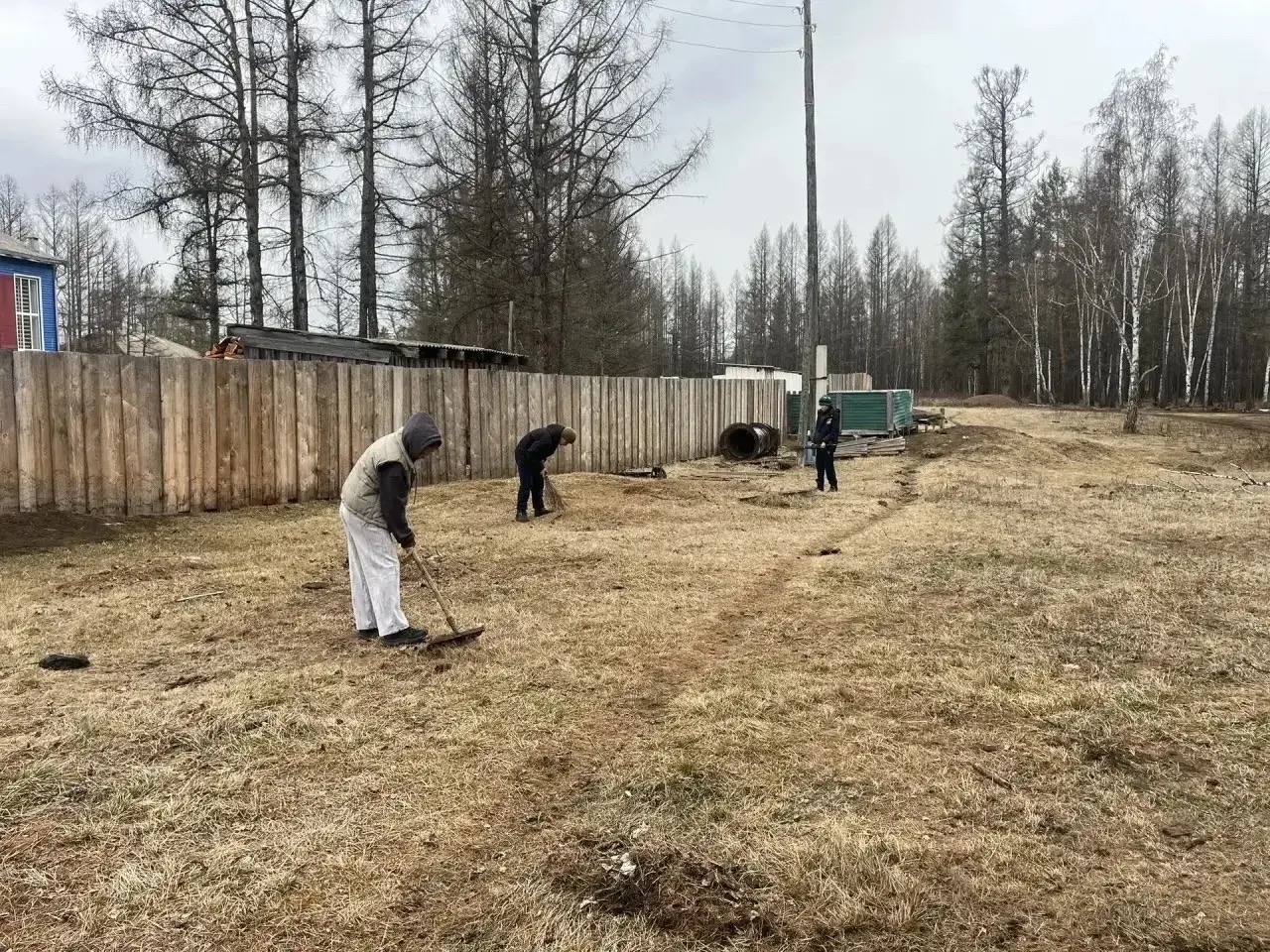 «Тоджа в объективе чистоты: от массовых субботников до семейных инициатив