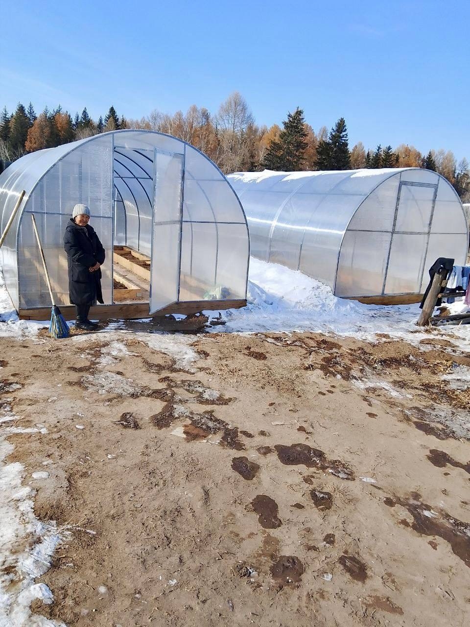 В Улуг-Хемском районе самозанятым, занимающимся огородничеством, предоставят семена