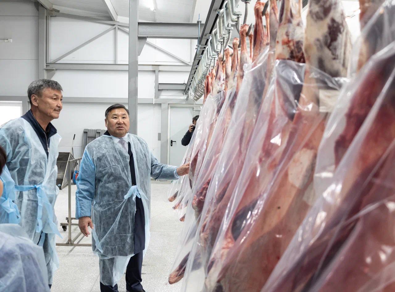 В Кызылском районе открыли мясоперерабатывающий цех В Кызылском районе открыли мясоперерабатывающий цех