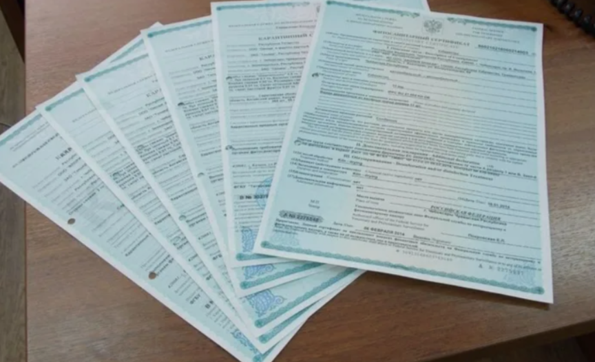 В Туве Россельхознадзором в 2025 году было выдано 156 фитосанитарных сертификатов