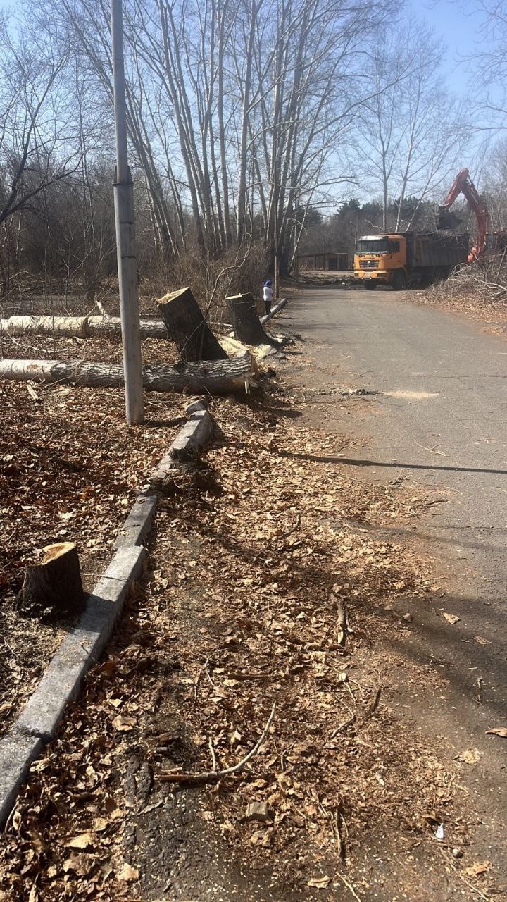 «Тувинская колыбель»: новое дыхание для восточной части парка