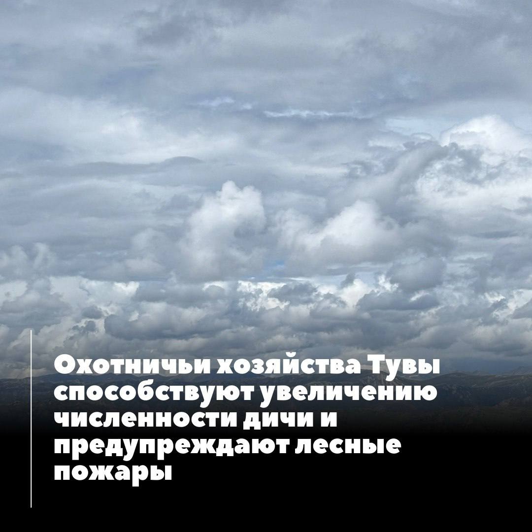В Туве действуют девять охотничьих хозяйств, охватывающих более 821 тысячи гектаров земли. В Туве действуют девять охотничьих хозяйств, охватывающих более 821 тысячи гектаров земли.