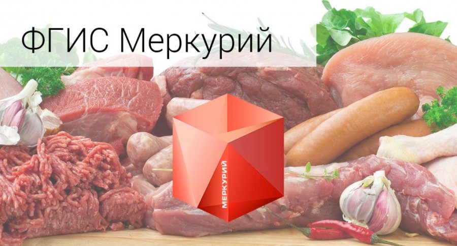 Россельхознадзор выявил нарушения в документах по использованию мясных продуктов в школах Монгун-Тайгинского кожууна Тувы