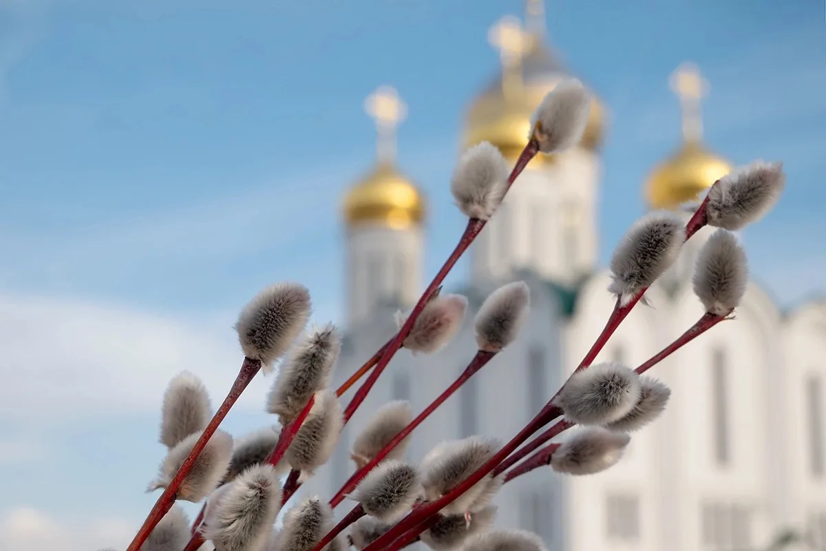 Владислав Ховалыг поздравил земляков с Вербным воскресеньем
