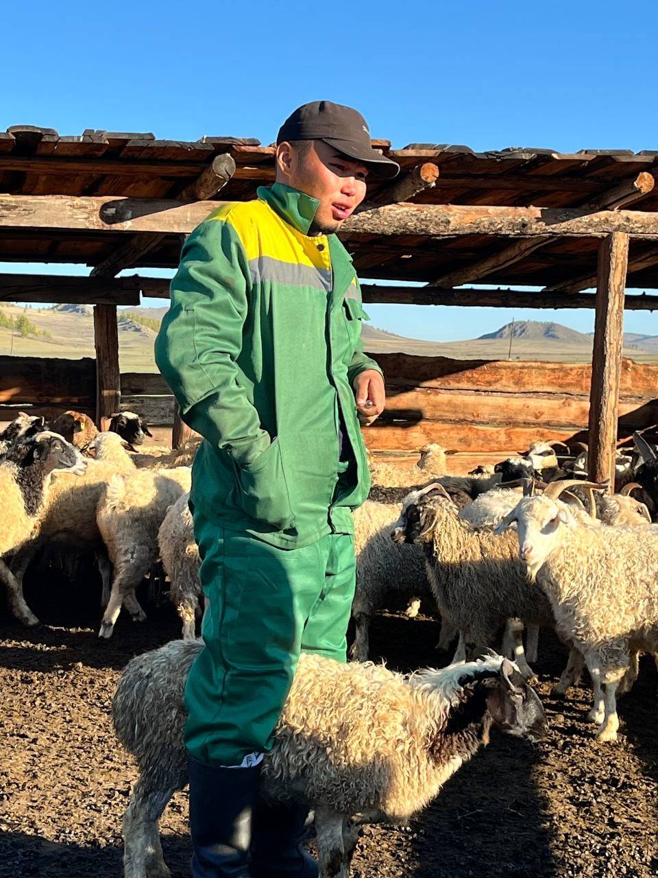 Трудовые будни ветеринарных специалистов Чеди-Хольского кожууна Трудовые будни ветеринарных специалистов Чеди-Хольского кожууна