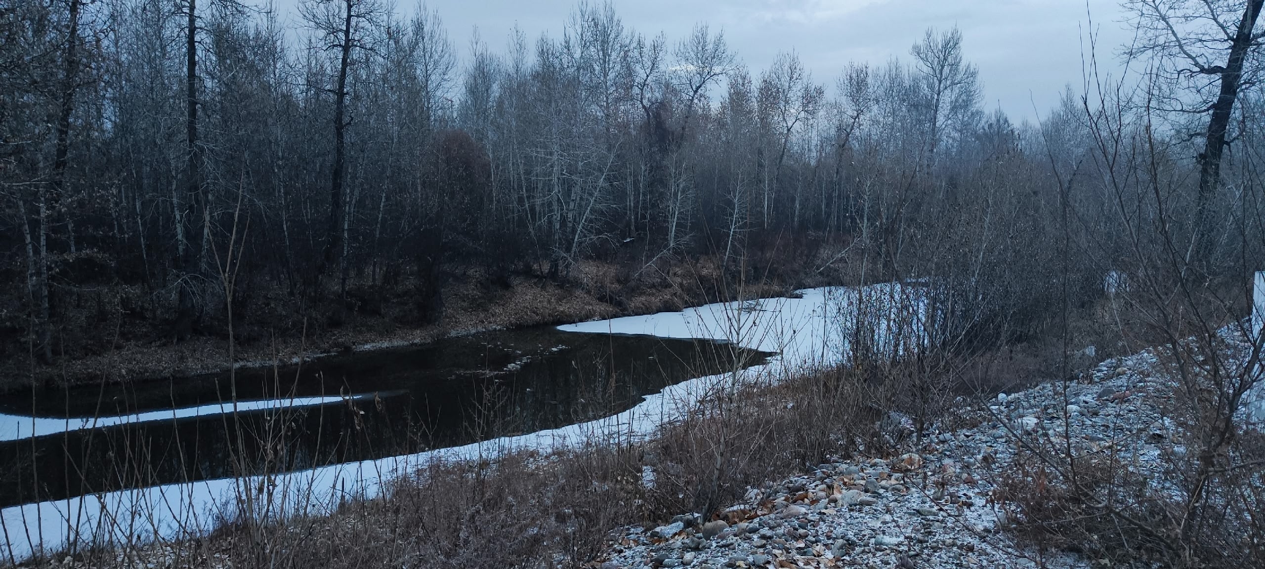 Сегодня Серебрянку чуть-чуть припорошило лёгким снежком. И проходя мимо, невольно вспомнила Серую Шейку... Сегодня Серебрянку чуть-чуть припорошило лёгким снежком. И проходя мимо, невольно вспомнила Серую Шейку...