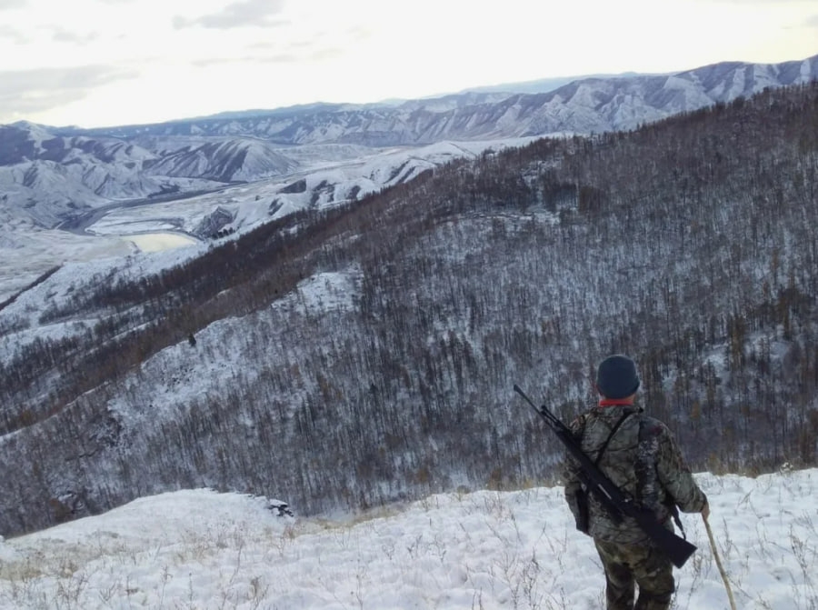 В приграничном Овюрском районе объявлен конкурс среди охотников-волчатников