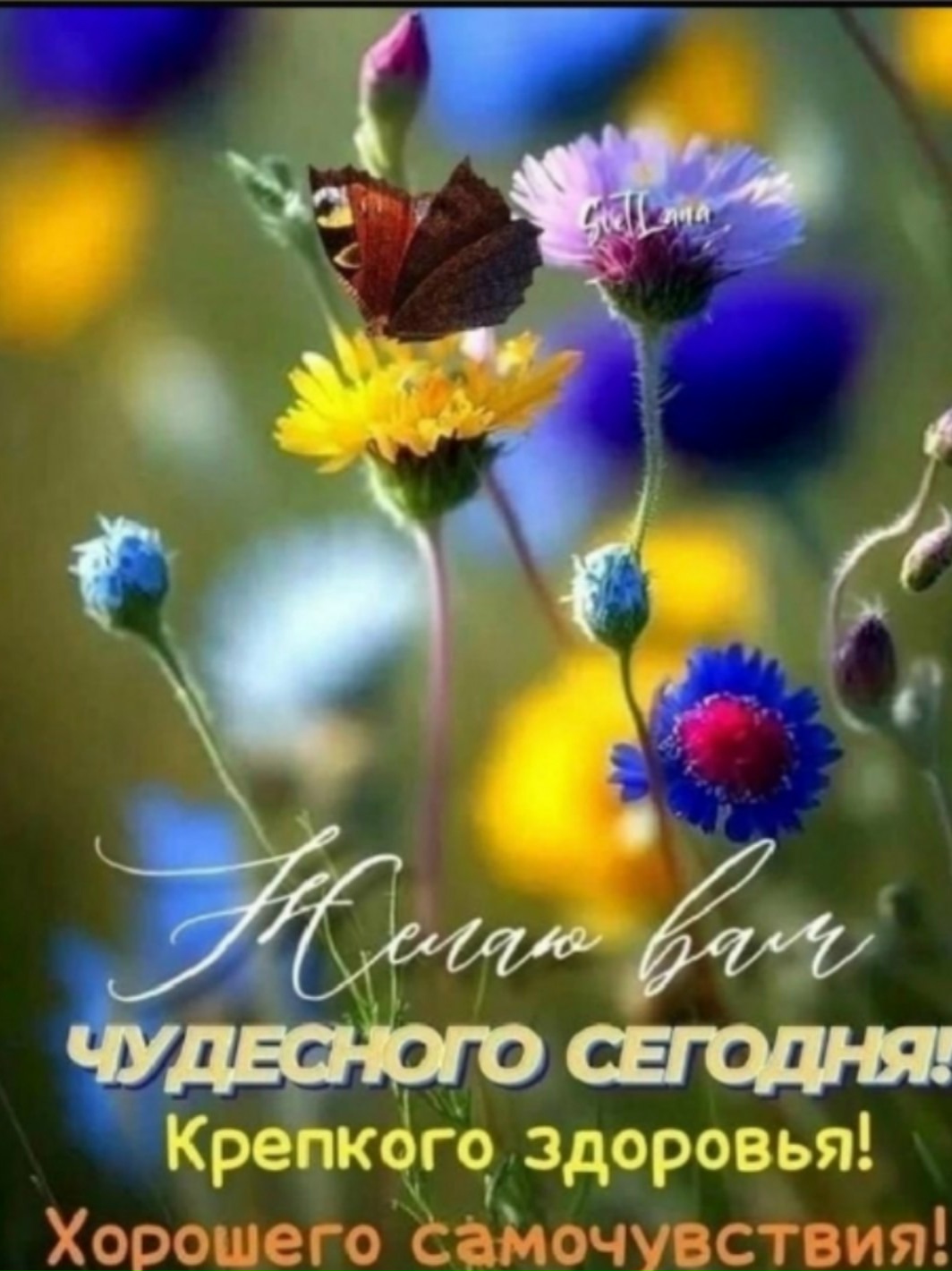Без заголовка