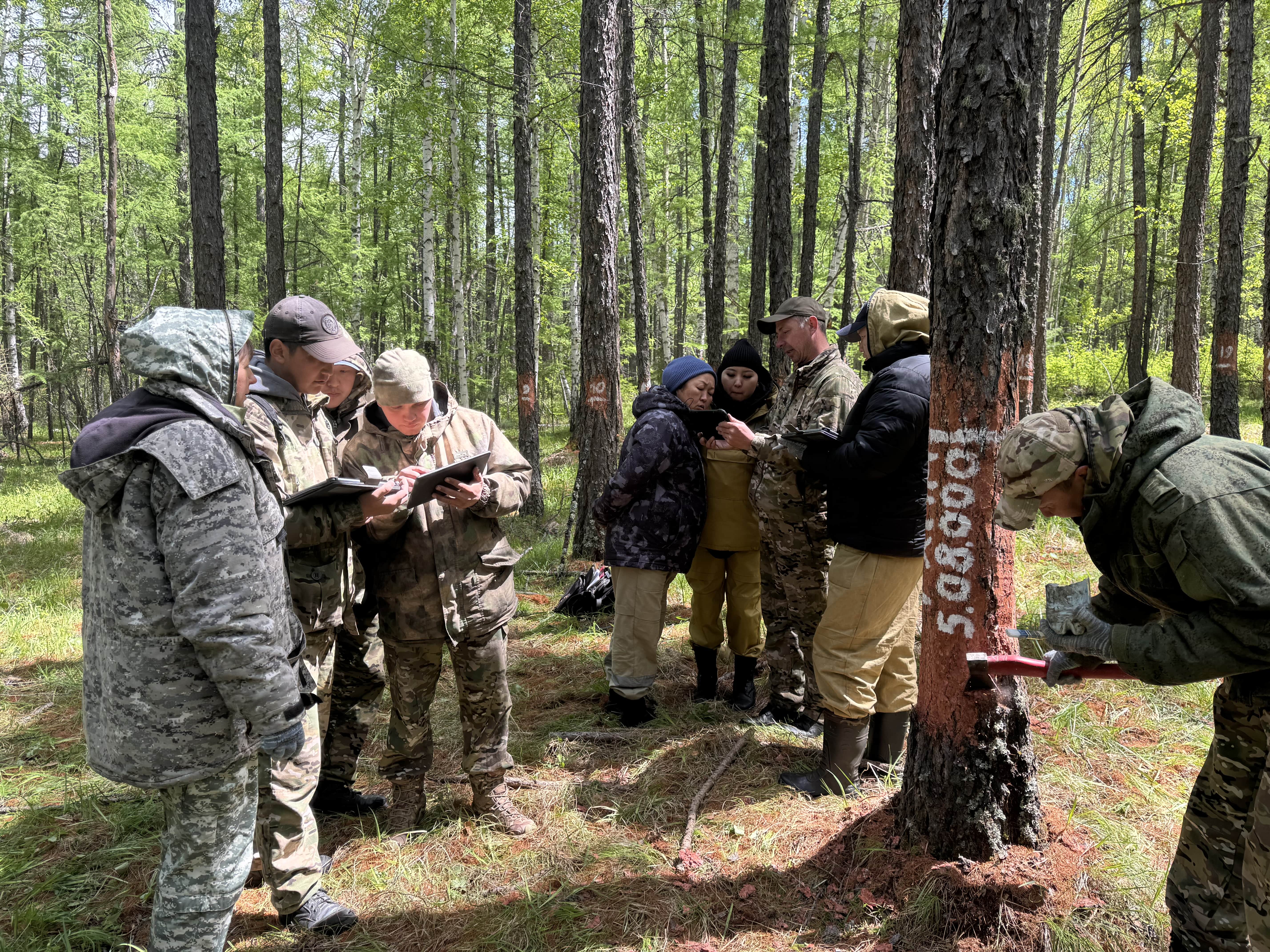 Лесопатологи Тувы провели полевую тренировку Лесопатологи Тувы провели полевую тренировку