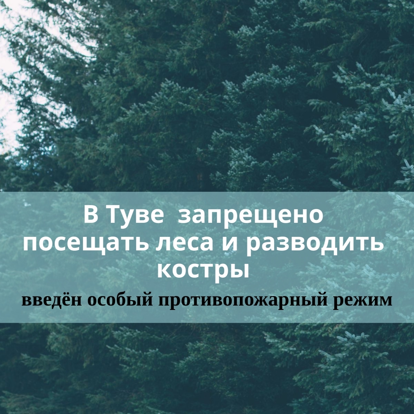 Особый противопожарный режим вводится с сегодняшнего дня, 15 апреля, на всей территории Тувы