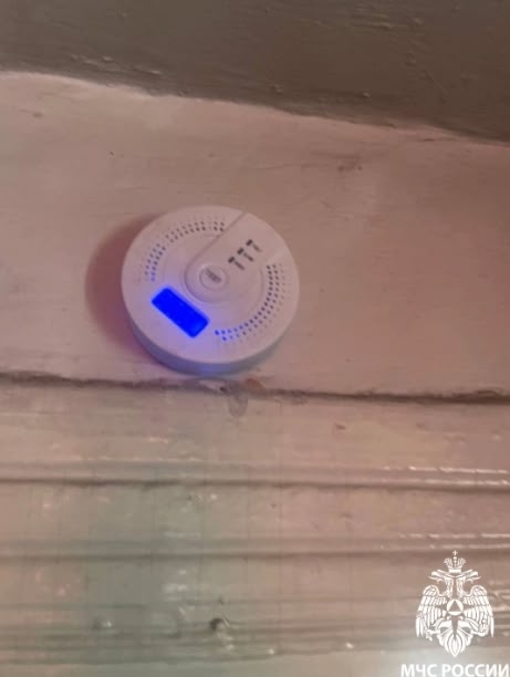 В Эрзинском районе датчик угарного газа спас семью из трех человек