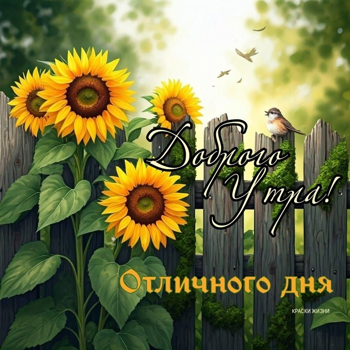 Без заголовка