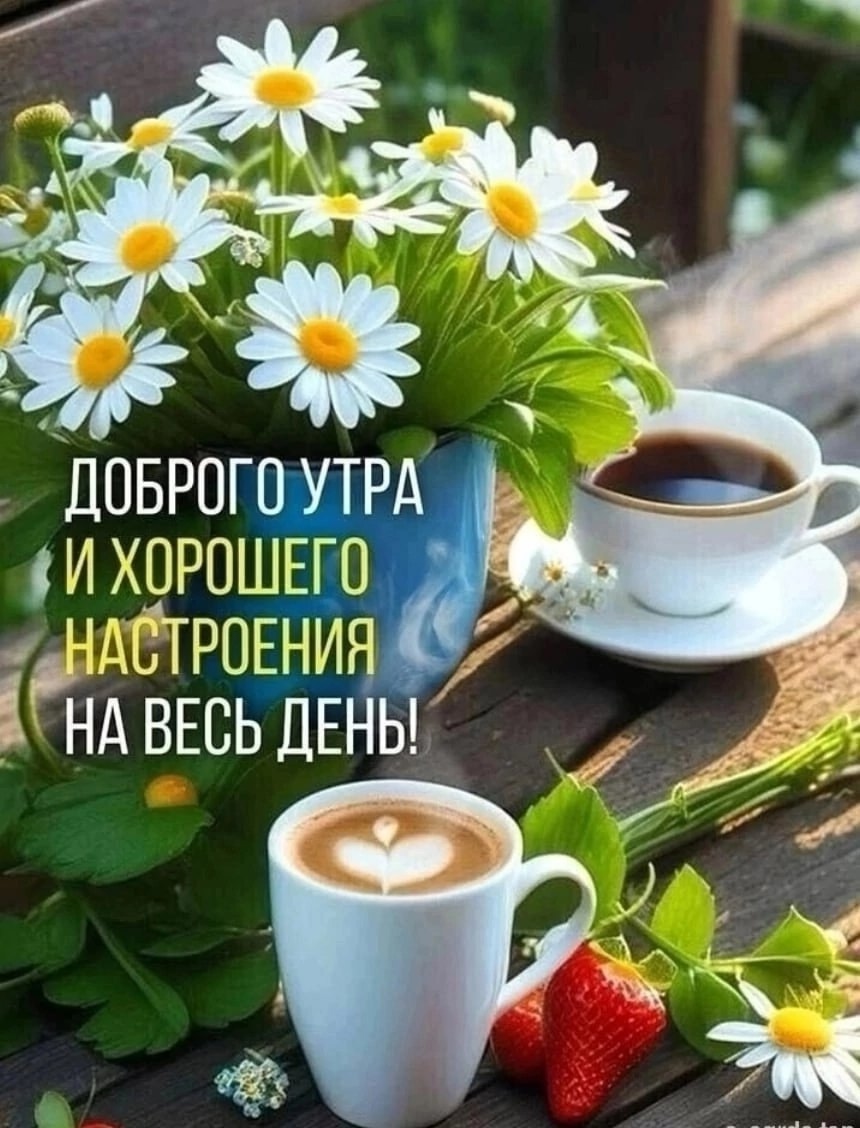 Без заголовка
