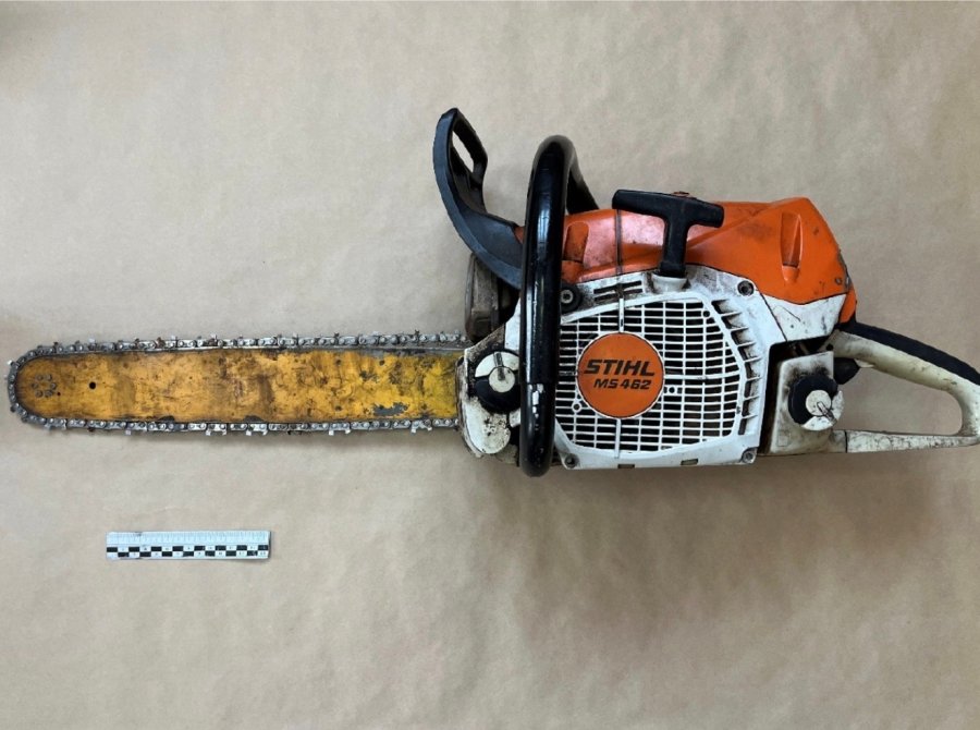 В Туве при заготовке леса по неосторожности стволом падающего дерева был убит житель Тоджи