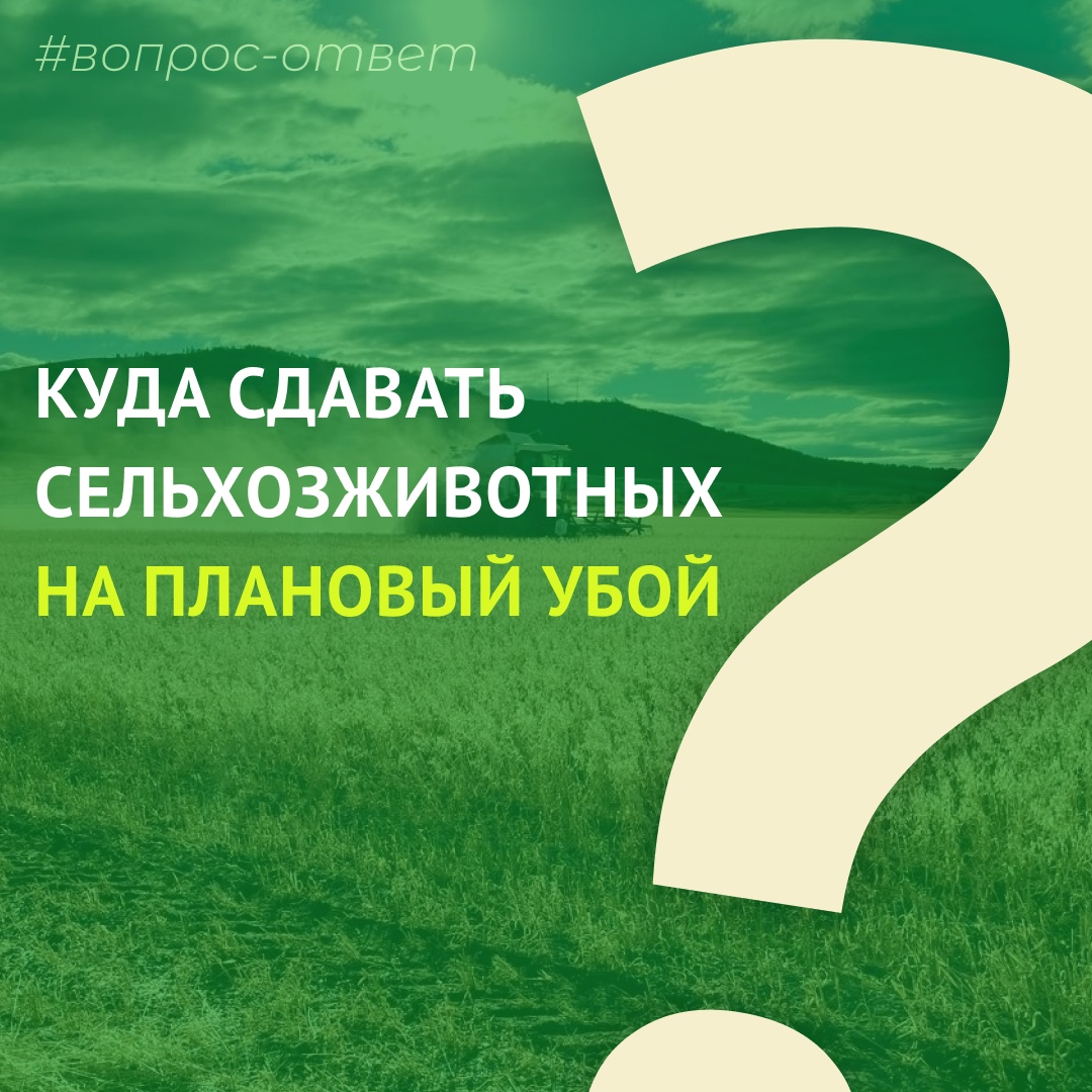 Уважаемые фермеры и владельцы личных подсобных хозяйств Тувы! Уважаемые фермеры и владельцы личных подсобных хозяйств Тувы!