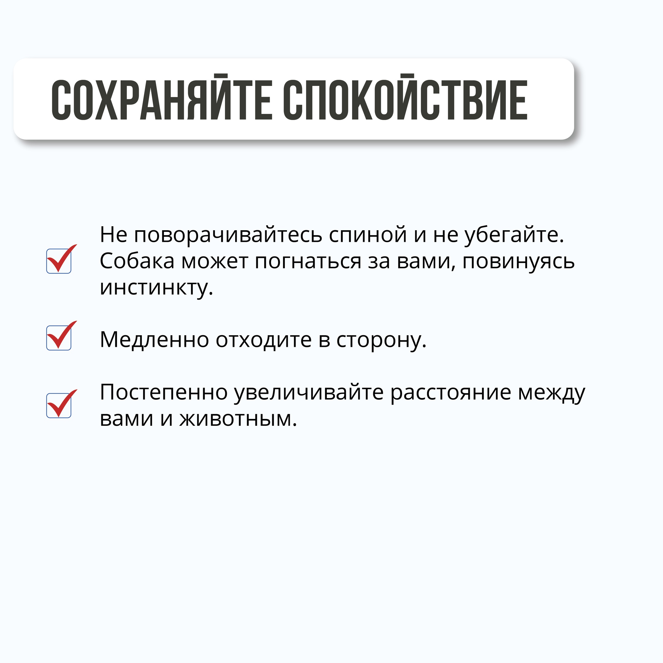 Встреча с безнадзорными животными может быть непредсказуемой. Чтобы избежать неприятных ситуаций, важно знать, как правильно себя вести.