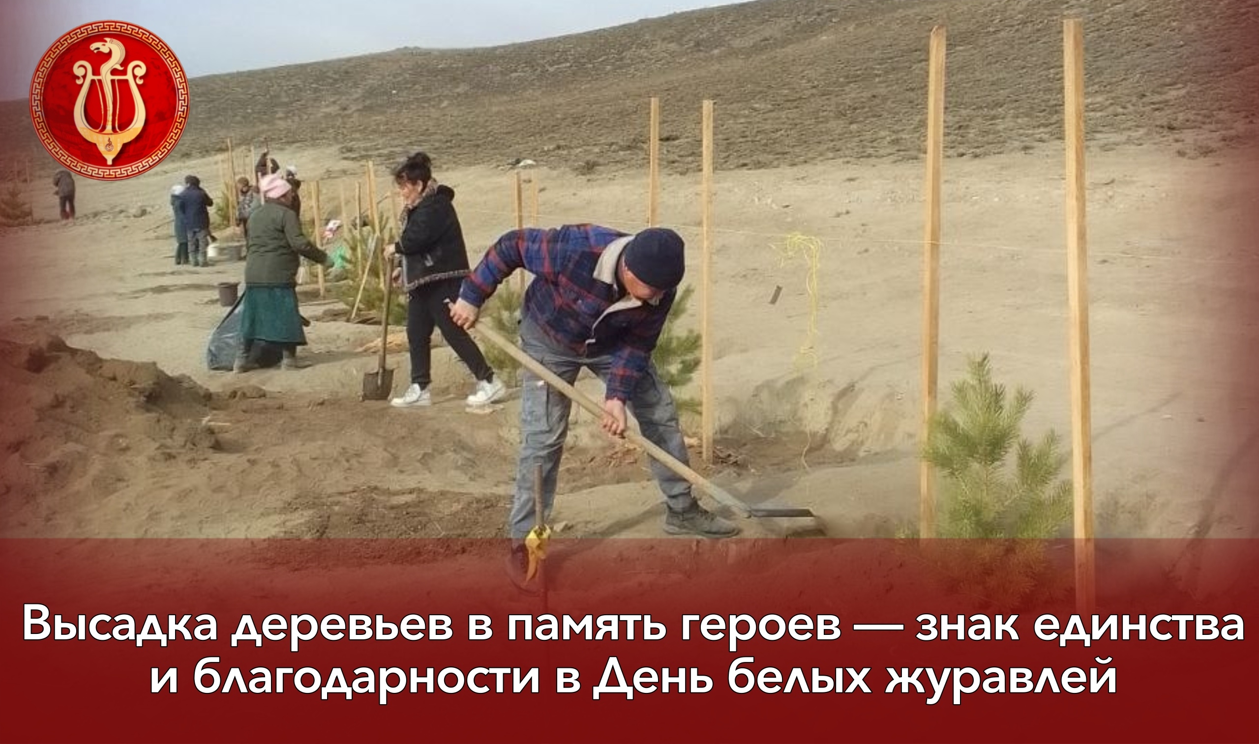 Высадка деревьев в память героев — знак единства и благодарности в День белых журавлей Высадка деревьев в память героев — знак единства и благодарности в День белых журавлей