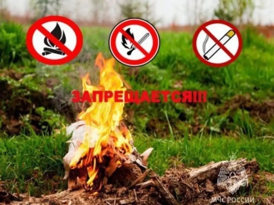 В Туве прогнозируется 4-й класс горимости<p>По данным синоптиков, с 10 по 13 апреля в республике ожидается высокая пожарная опасность — 4-й класс горимости