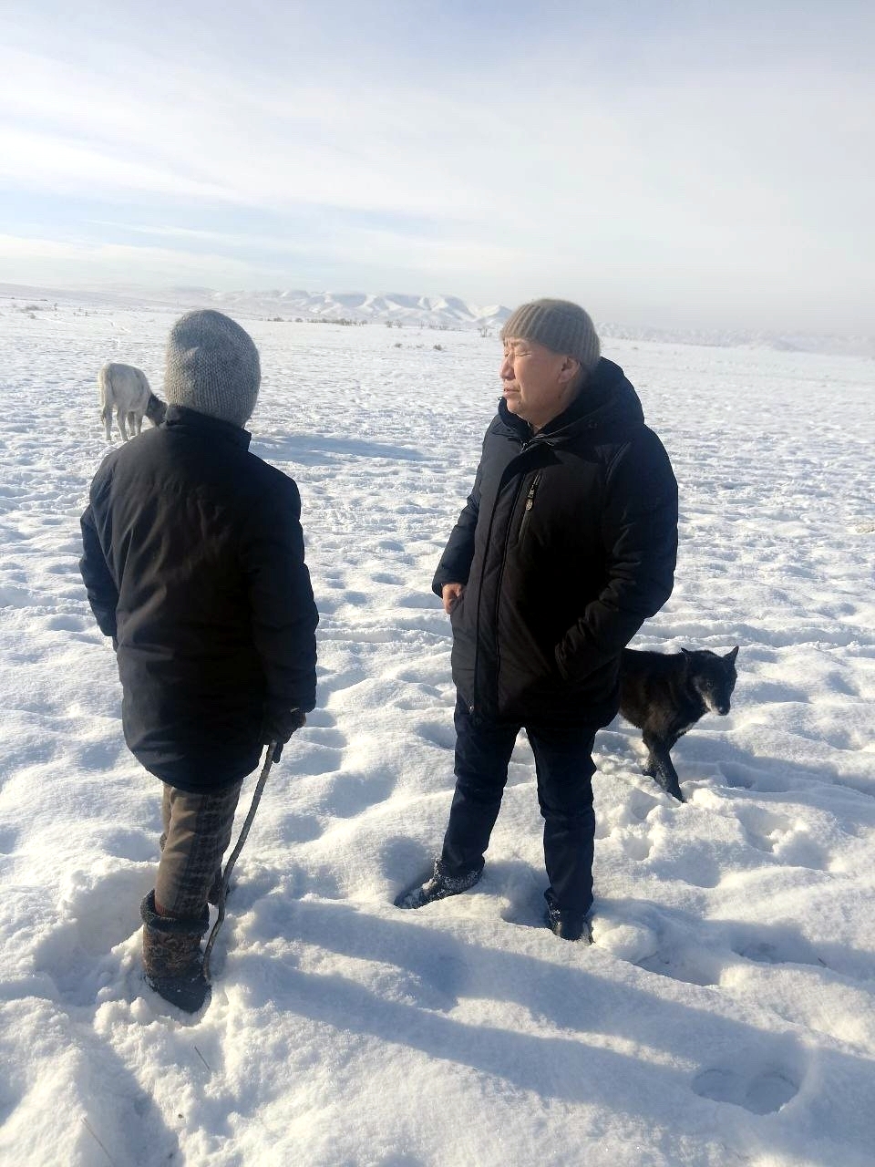 Специалисты Минсельхозпрода Тувы проверили ход зимовки скота на чабанских стоянках Кызылского района