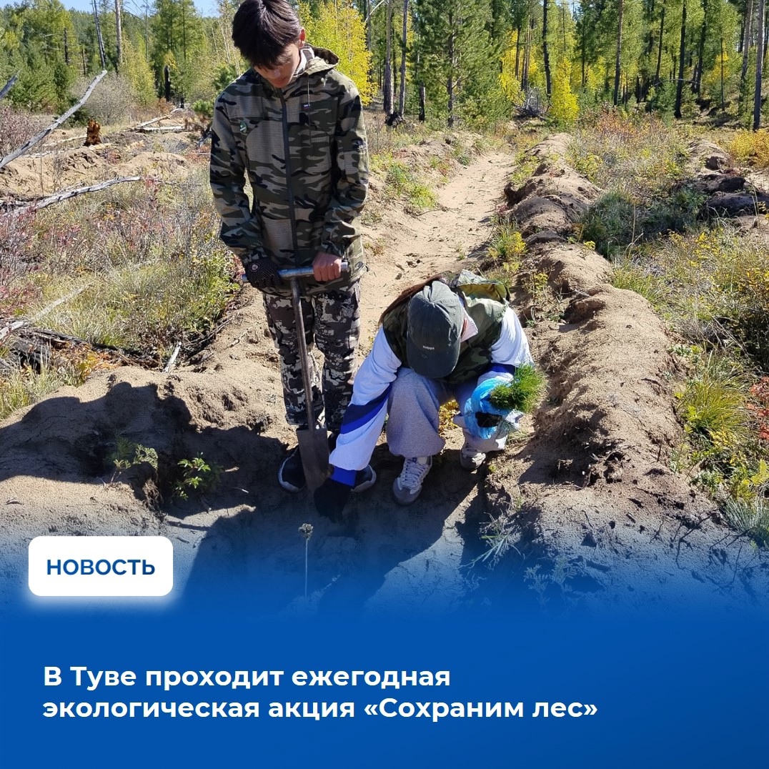 Более 2,6 млн