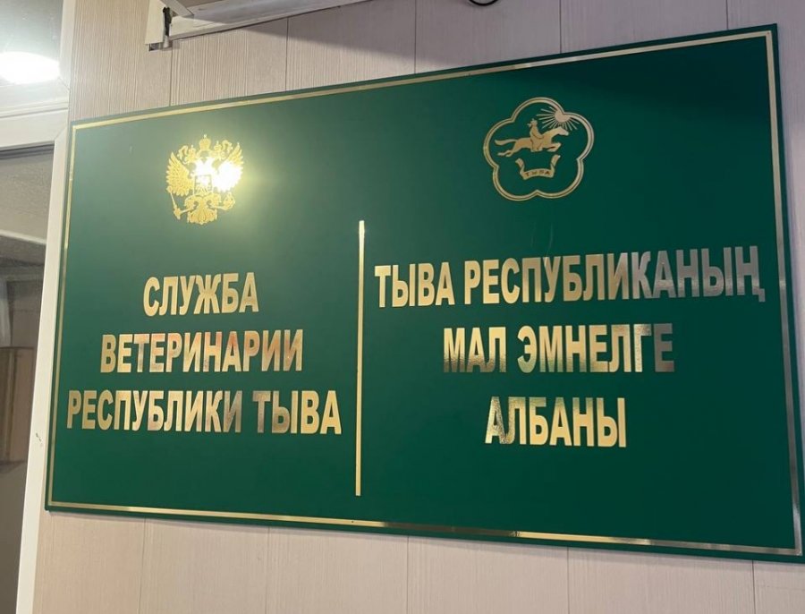 Служба ветеринарии республики опровергла факты умышленного отравления собак в Кызыле