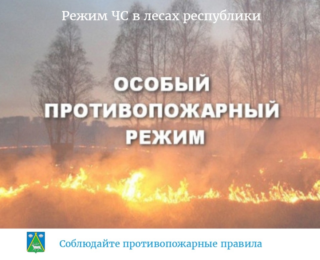 В республике продолжает действовать особый противопожарный режим и режим чрезвычайной ситуации регионального характера в лесах в связи со сложной пожароопасной обстановкой. По оперативным данным, на 18 августа на территории республики функционирует 22 лес В республике продолжает действовать особый противопожарный режим и режим чрезвычайной ситуации регионального характера в лесах в связи со сложной пожароопасной обстановкой. По оперативным данным, на 18 августа на территории республики функционирует 22 лес