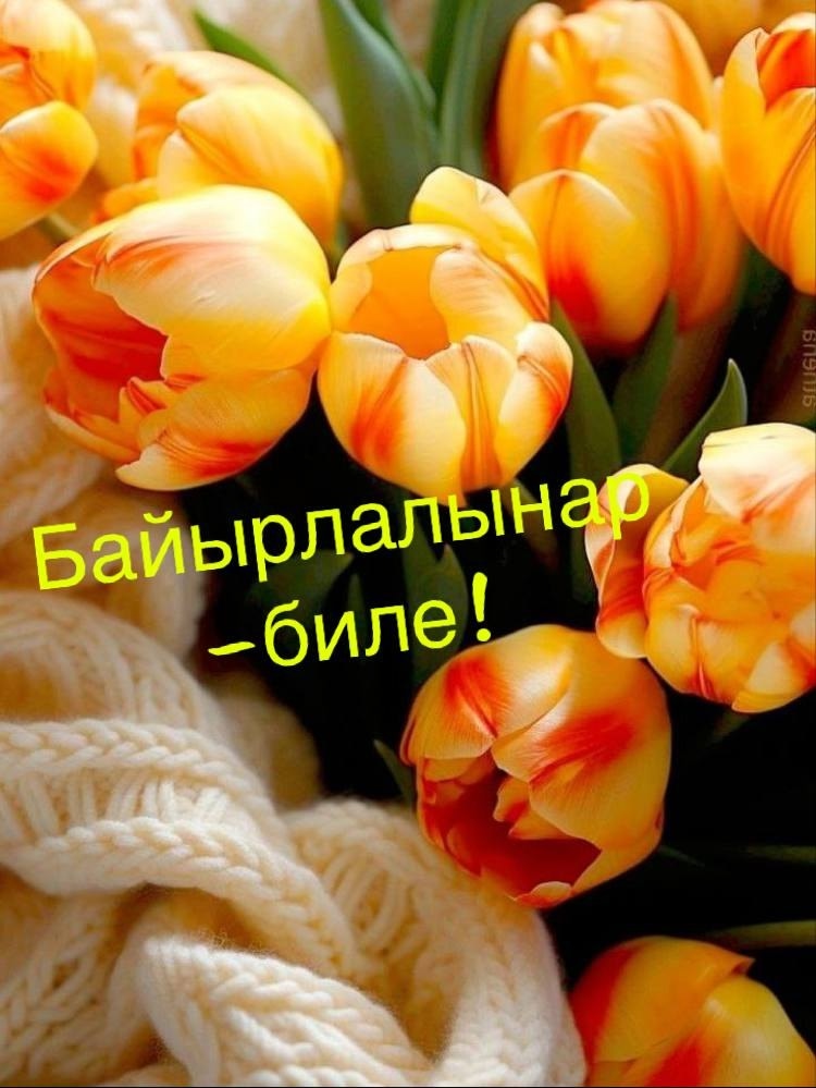 Хүндүлүг Чеди-Хөл кожууннуң херээжен чону