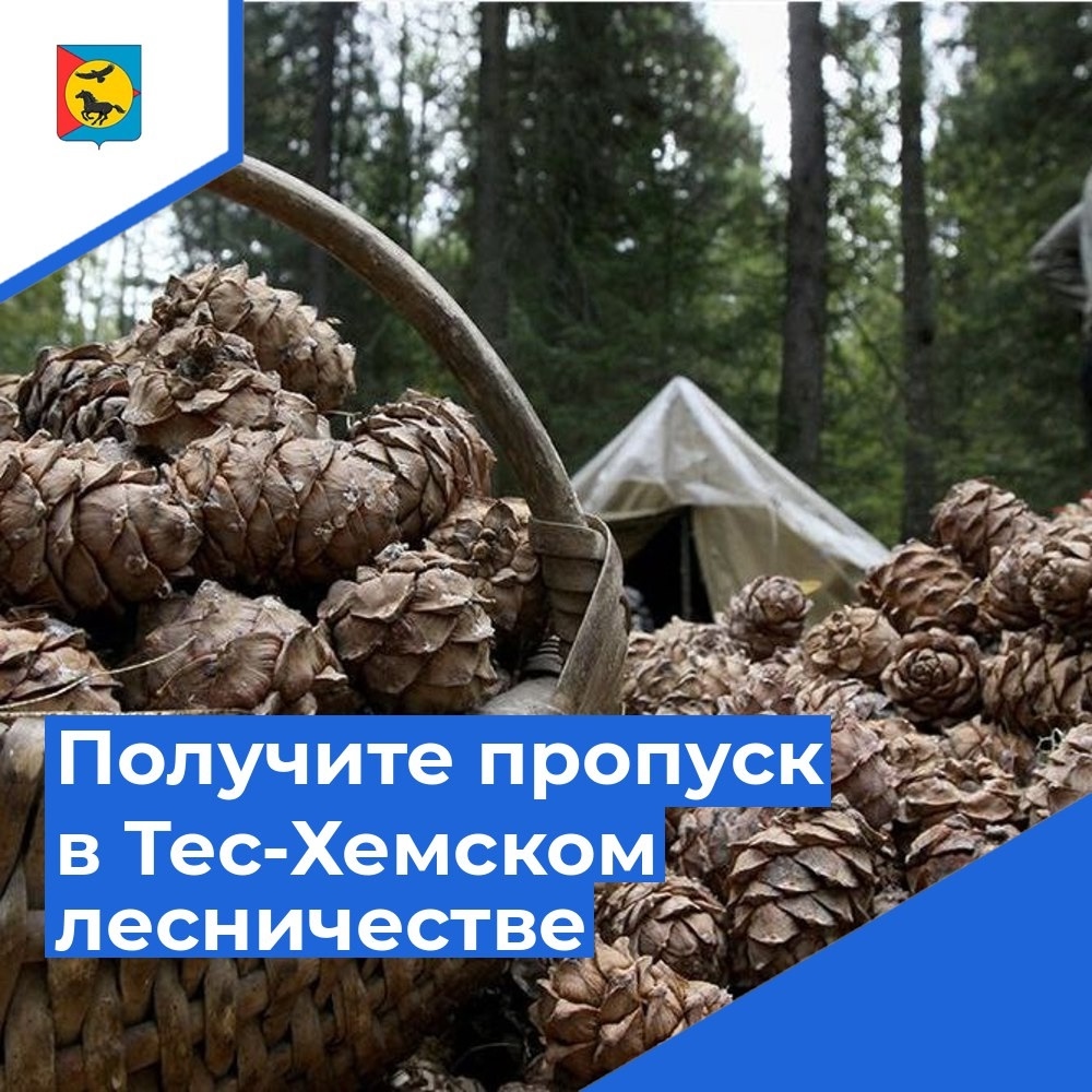 Не упустите возможность насладиться дарами осенней природы Не упустите возможность насладиться дарами осенней природы