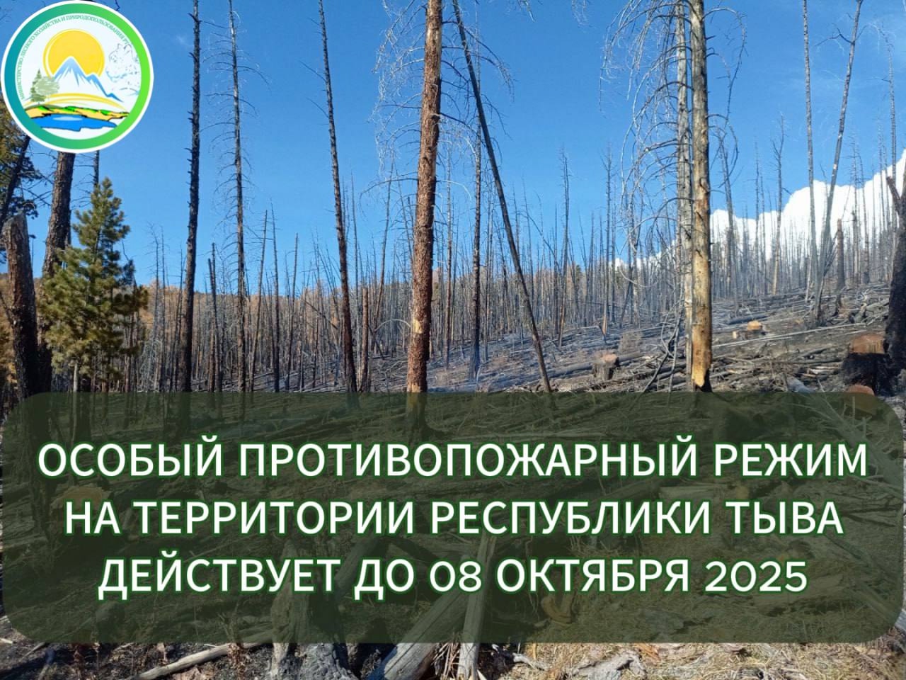 Напоминаем о действии особого противопожарного режима в лесах