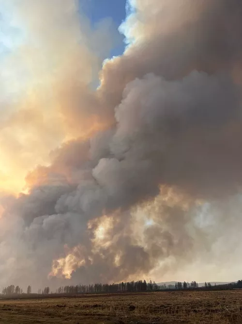 МВД Тувы раскрыло детали возникновения пожара в Тандинском районе, охватившего более 400 га