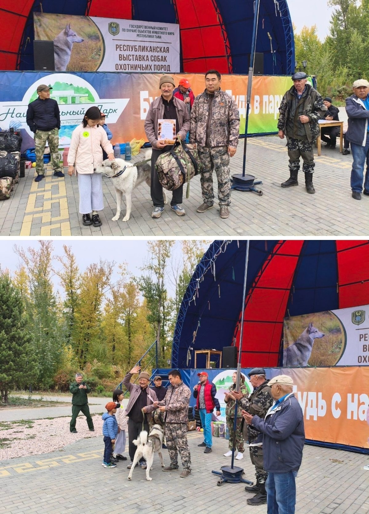 Тува собрала лучших охотничьих собак на юбилейной выставке Тува собрала лучших охотничьих собак на юбилейной выставке