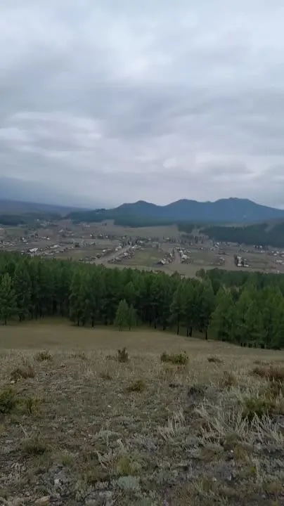 Шуптуңарны кыйгырдывыс
