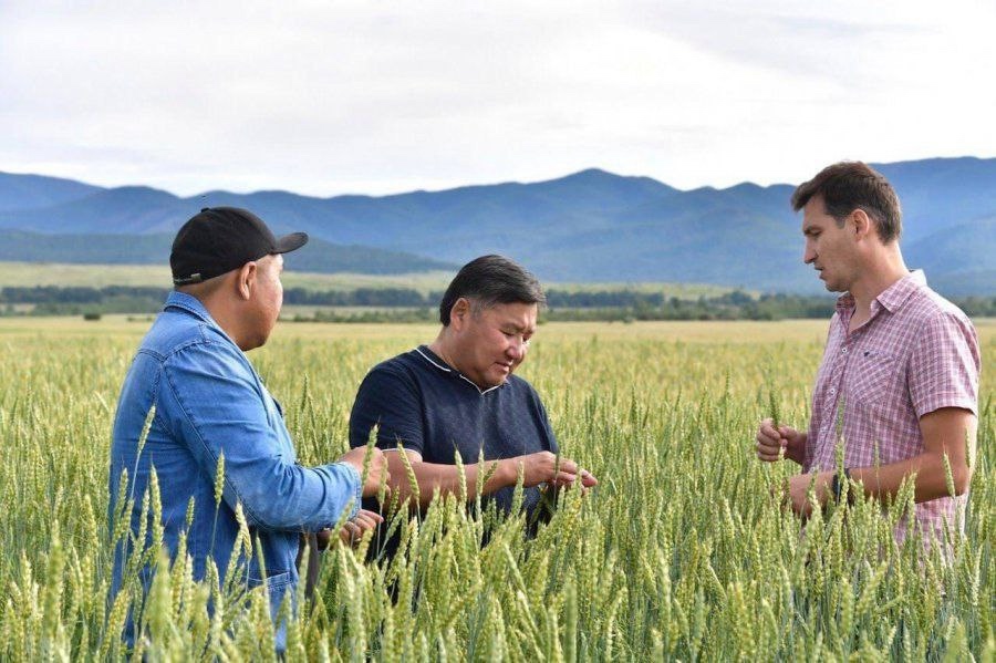 В День работника сельского хозяйства, который отмечается 12 октября, Глава Тувы Владислав Ховалыг выразил свои поздравления труженикам агропромышленного комплекса. В День работника сельского хозяйства, который отмечается 12 октября, Глава Тувы Владислав Ховалыг выразил свои поздравления труженикам агропромышленного комплекса.