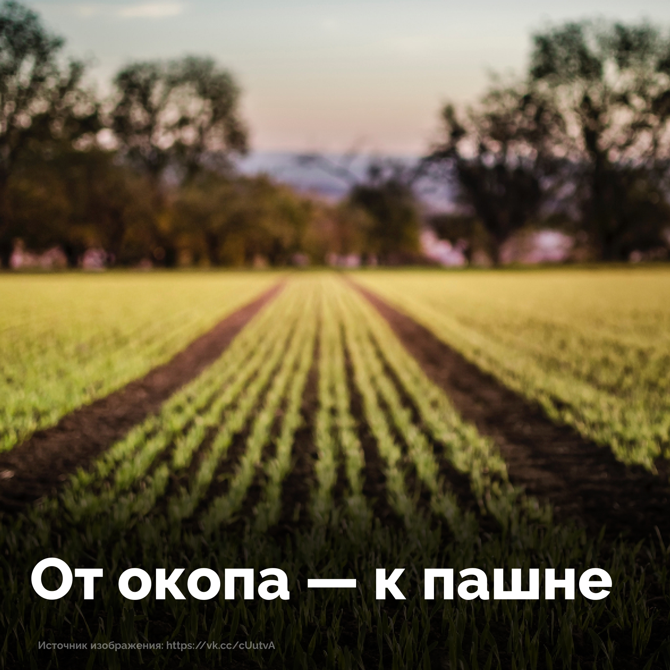 Ветераны СВО находят новую точку опоры на родных просторах