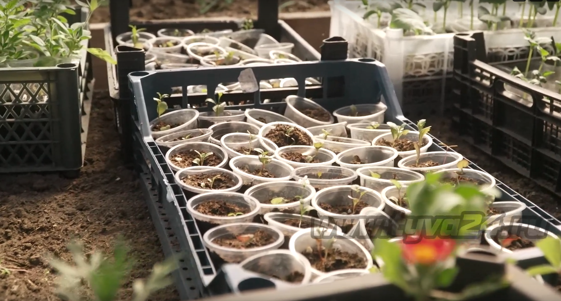 От ветерана боевых действий до будущего управленца