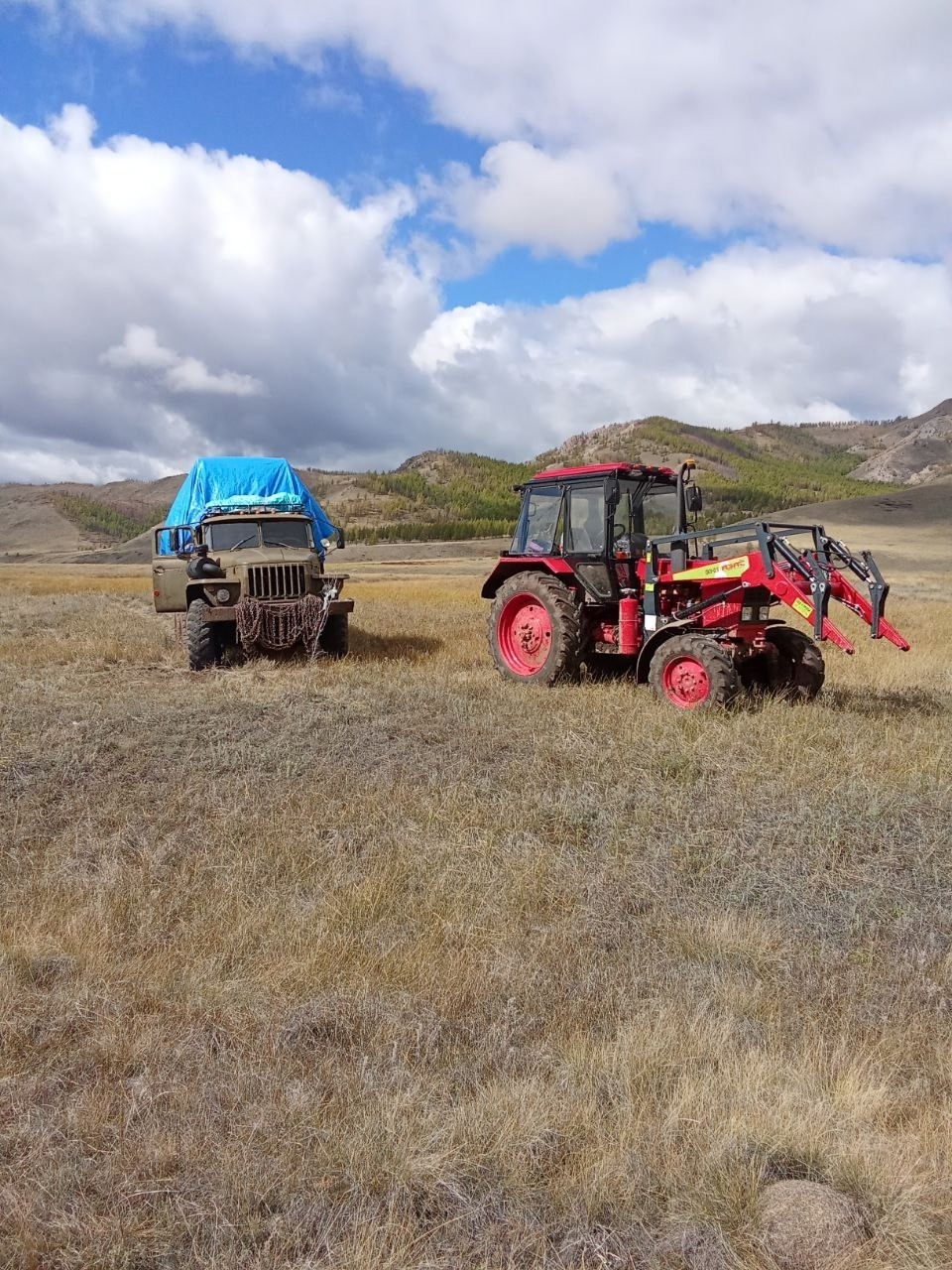 В Эрзинском районе продолжают заготовку кормов для скота