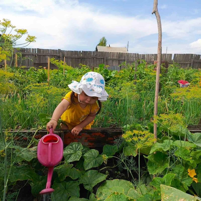 Выставка-конкурс среди огородниц города «Огородная ярмарка-2025» Выставка-конкурс среди огородниц города «Огородная ярмарка-2025»